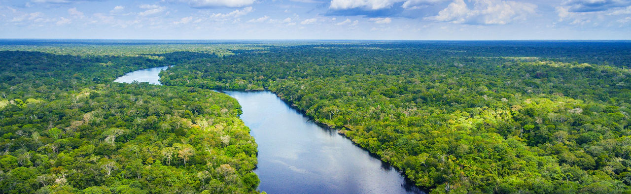 Amazon river in Brazil Adobe Stock License 2020